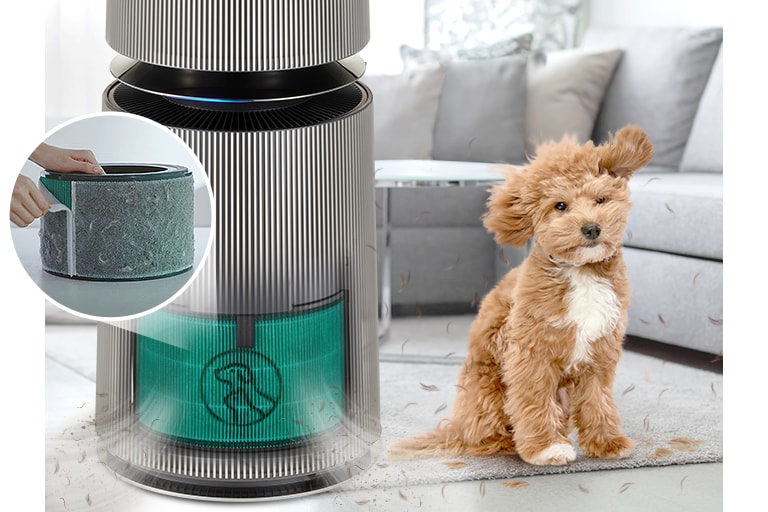 Chế độ Pet Mode