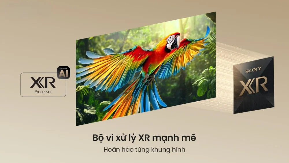 bộ xử lý XR Ai trên tv sony bravia 7 ii
